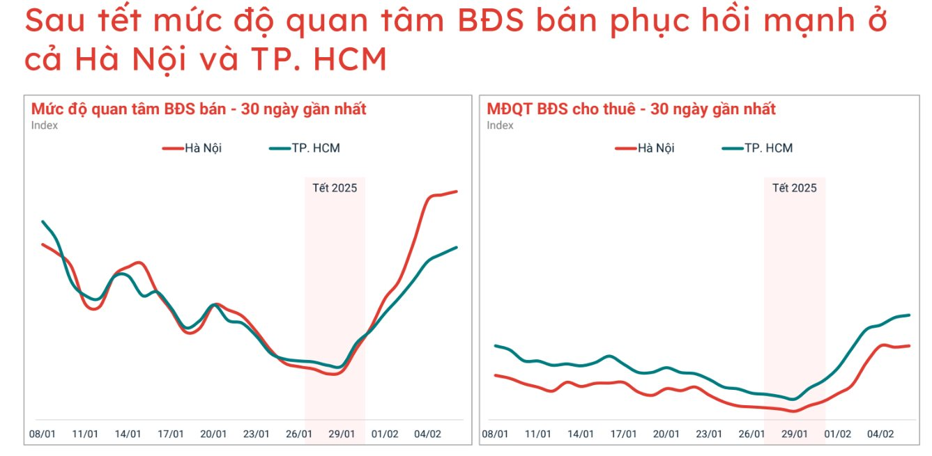 bds-sau-tet